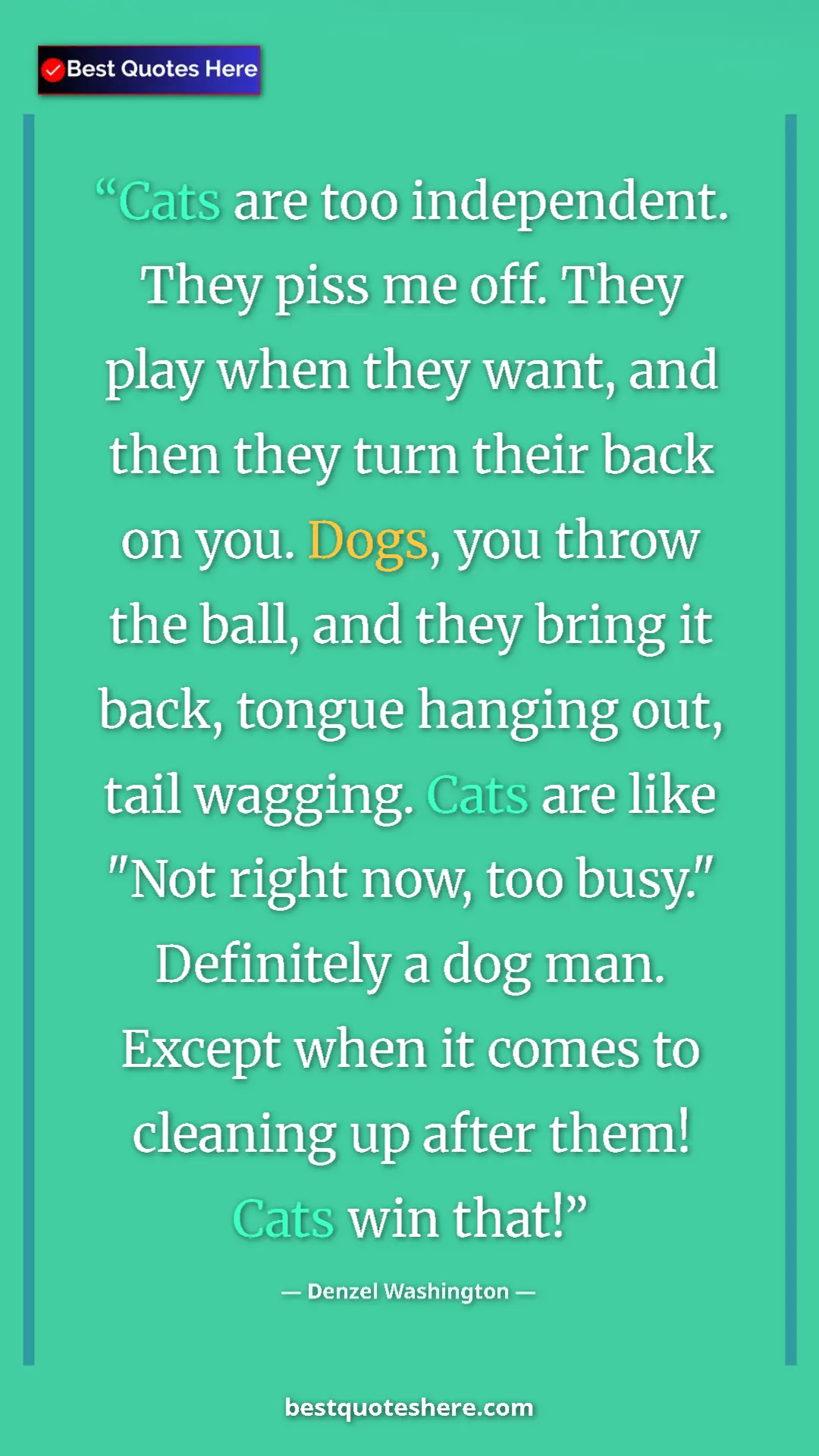 Denzel Washington Quote Card: "Cats are too independent. They piss me off. They play when..." Pinterest quote poster by Denzel Washington: "Cats are too independent. They piss me off. They play when..."