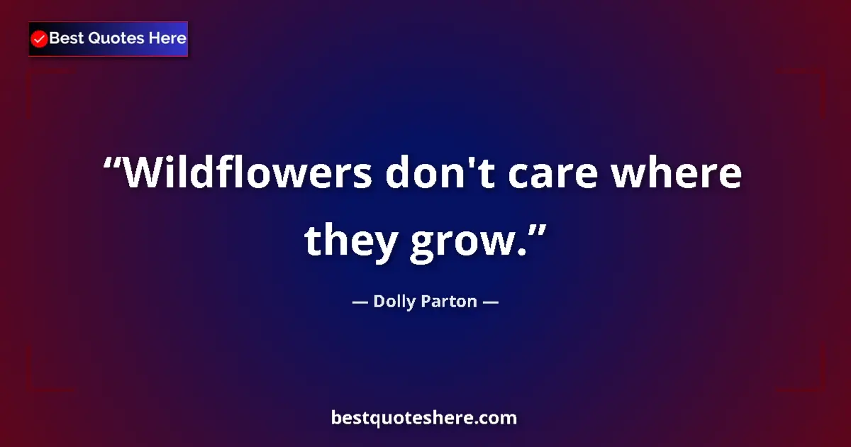 Quote by Dolly Parton: Wildflowers don't care where they grow....