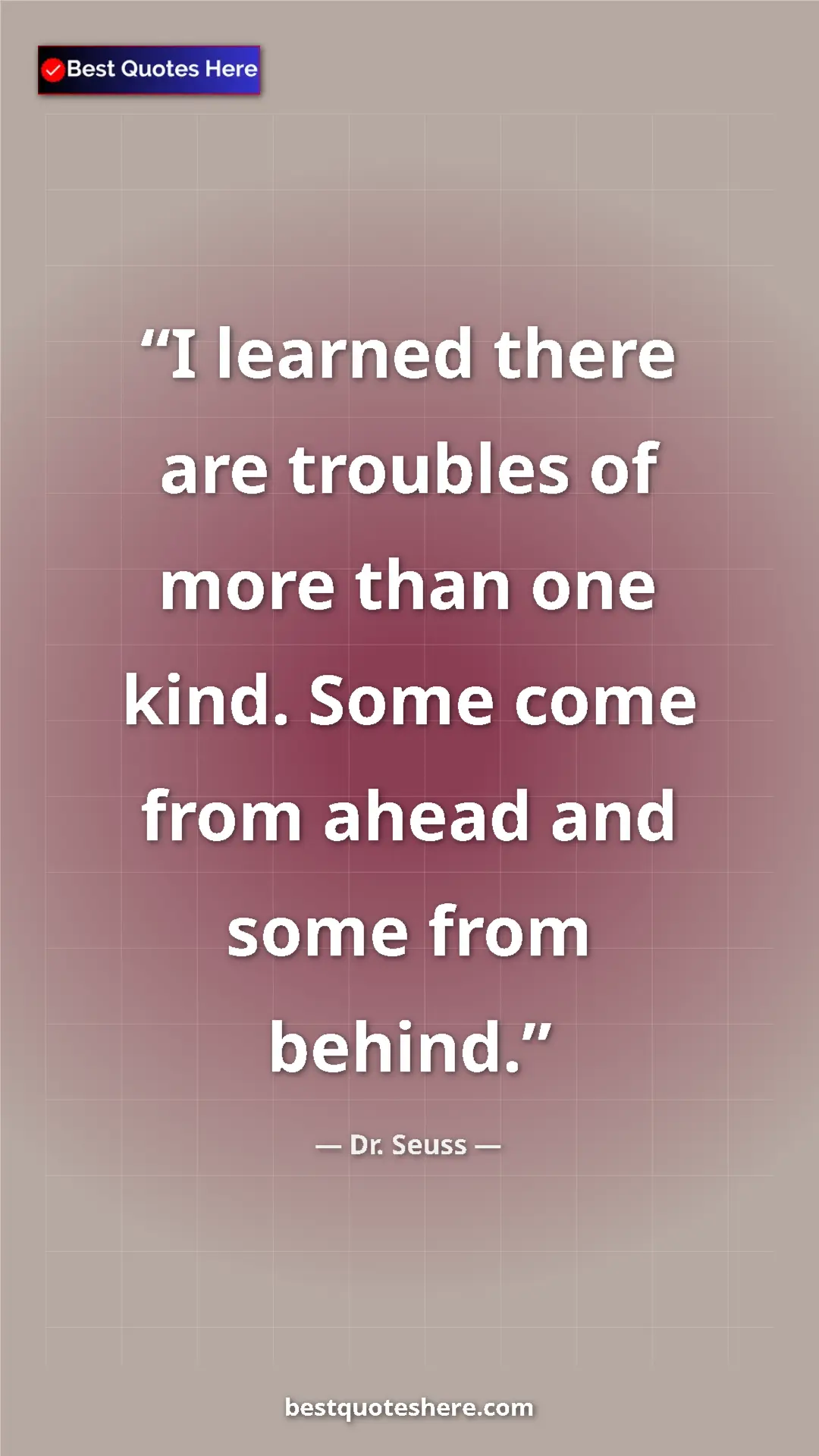 Pinterest quote poster by Dr. Seuss: "I learned there are troubles of more than one kind. Some..."