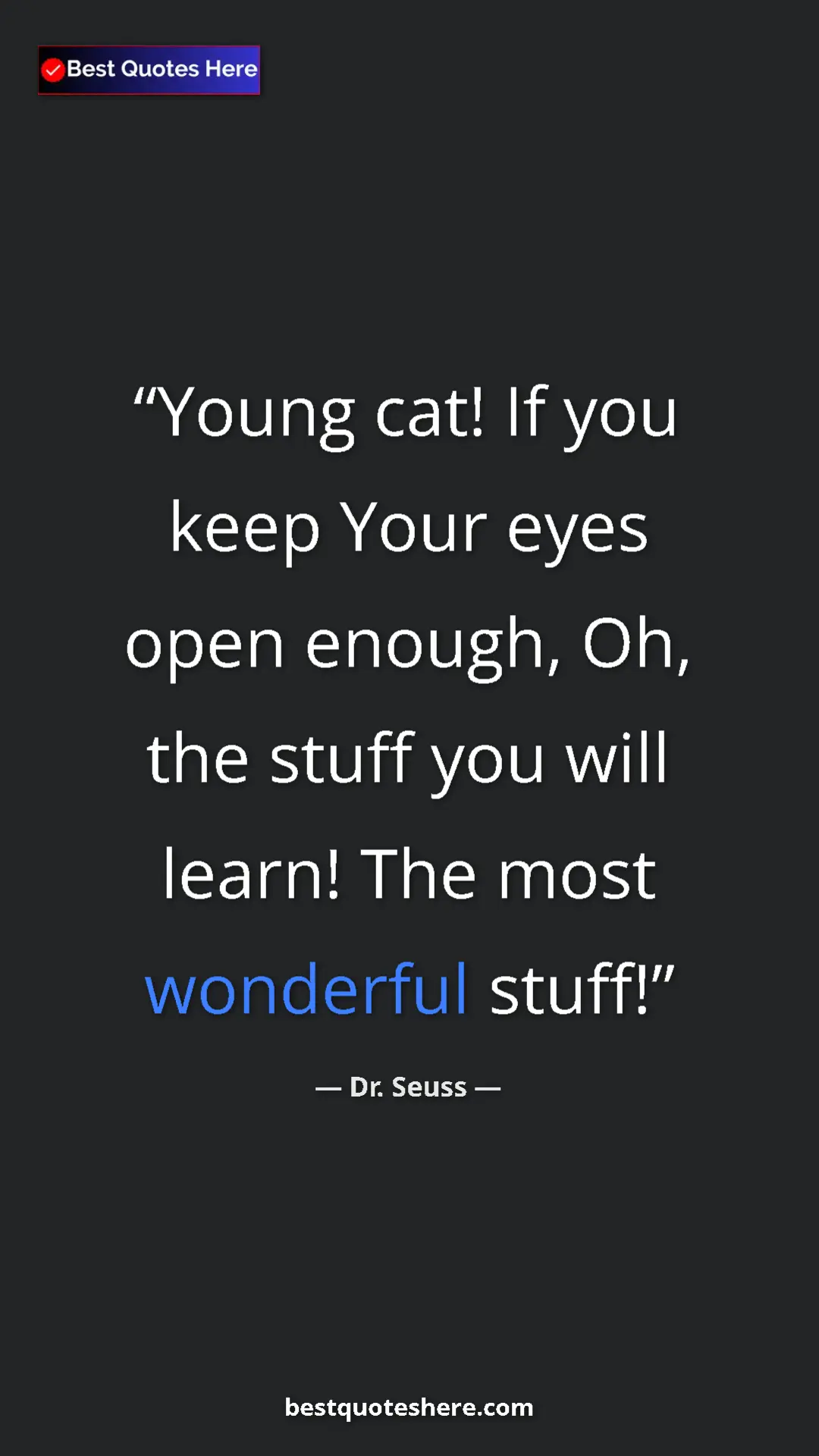 Pinterest quote poster by Dr. Seuss: "Young cat! If you keep Your eyes open enough, Oh, the stuff..."