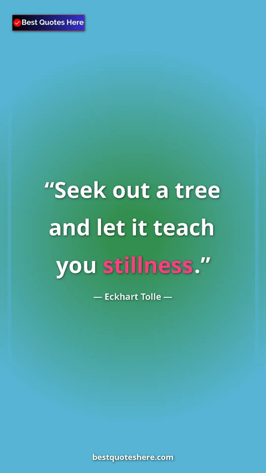 Eckhart Tolle Quote Card: "Seek out a tree and let it teach you stillness." Pinterest quote poster by Eckhart Tolle: "Seek out a tree and let it teach you stillness."