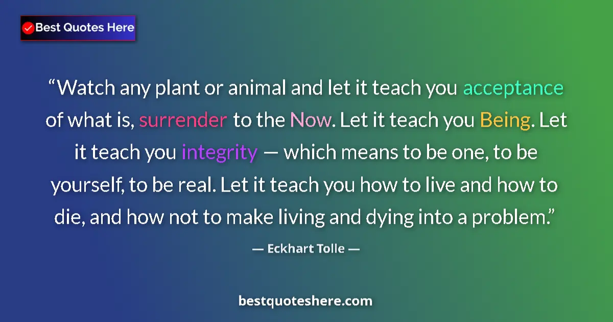 Eckhart Tolle quote: "Watch any plant or animal and let it teach you acceptance..."