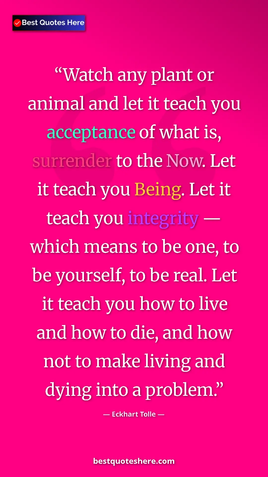 Pinterest quote poster by Eckhart Tolle: "Watch any plant or animal and let it teach you acceptance..."