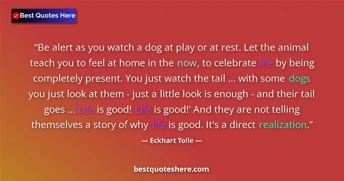 Quote by Eckhart Tolle: Be alert as you watch a dog at play or at rest. Let the animal teach you to feel at home in the now,...