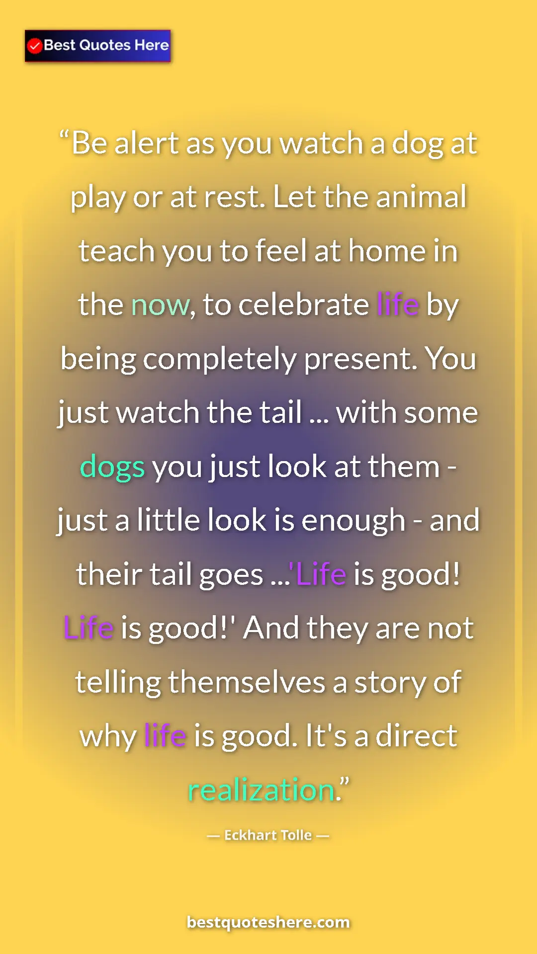 Pinterest quote poster by Eckhart Tolle: "Be alert as you watch a dog at play or at rest. Let the..."