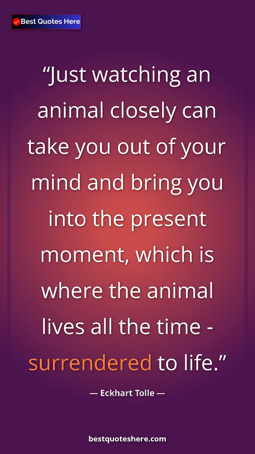 Eckhart Tolle Quote Card: "Just watching an animal closely can take you out of your..." Pinterest quote poster by Eckhart Tolle: "Just watching an animal closely can take you out of your..."