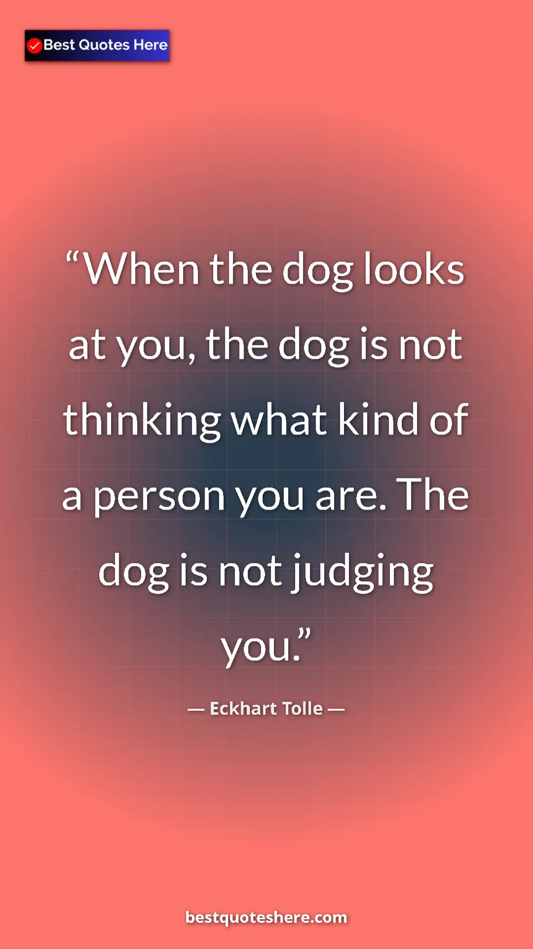 Pinterest quote poster by Eckhart Tolle: "When the dog looks at you, the dog is not thinking what..."
