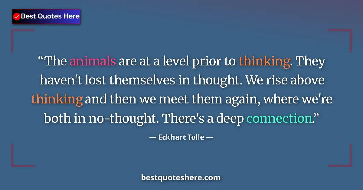 Quote by Eckhart Tolle: The animals are at a level prior to thinking. They haven't lost themselves in thought. We rise above...