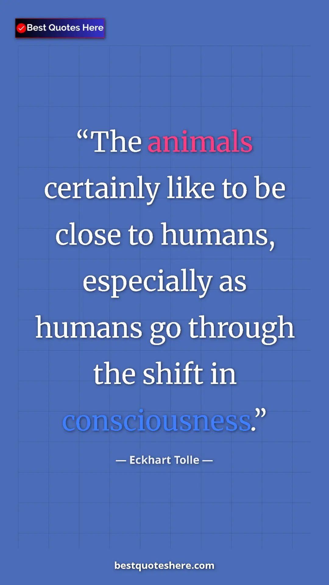 Eckhart Tolle Quote Card: "The animals certainly like to be close to humans,..." Pinterest quote poster by Eckhart Tolle: "The animals certainly like to be close to humans,..."
