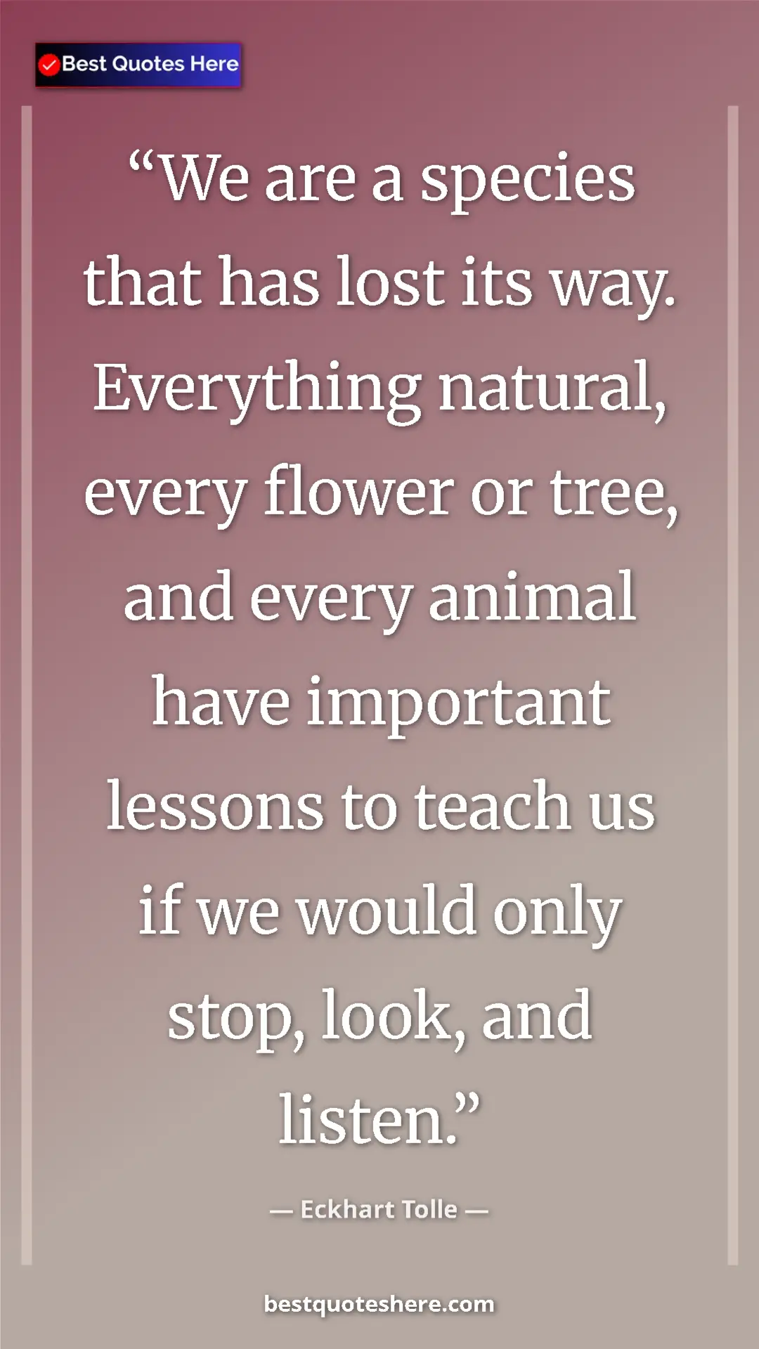 Eckhart Tolle Quote Card: "We are a species that has lost its way. Everything natural,..." Pinterest quote poster by Eckhart Tolle: "We are a species that has lost its way. Everything natural,..."