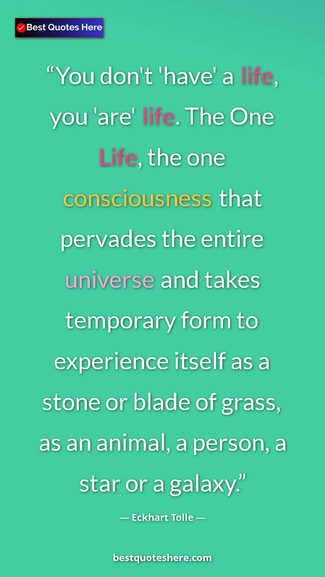 Eckhart Tolle Quote Card: "You don't 'have' a life, you 'are' life. The One Life, the..." Pinterest quote poster by Eckhart Tolle: "You don't 'have' a life, you 'are' life. The One Life, the..."