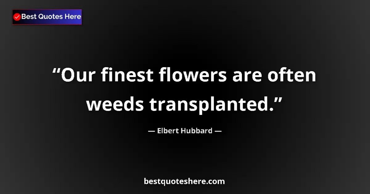 Quote by Elbert Hubbard: Our finest flowers are often weeds transplanted....