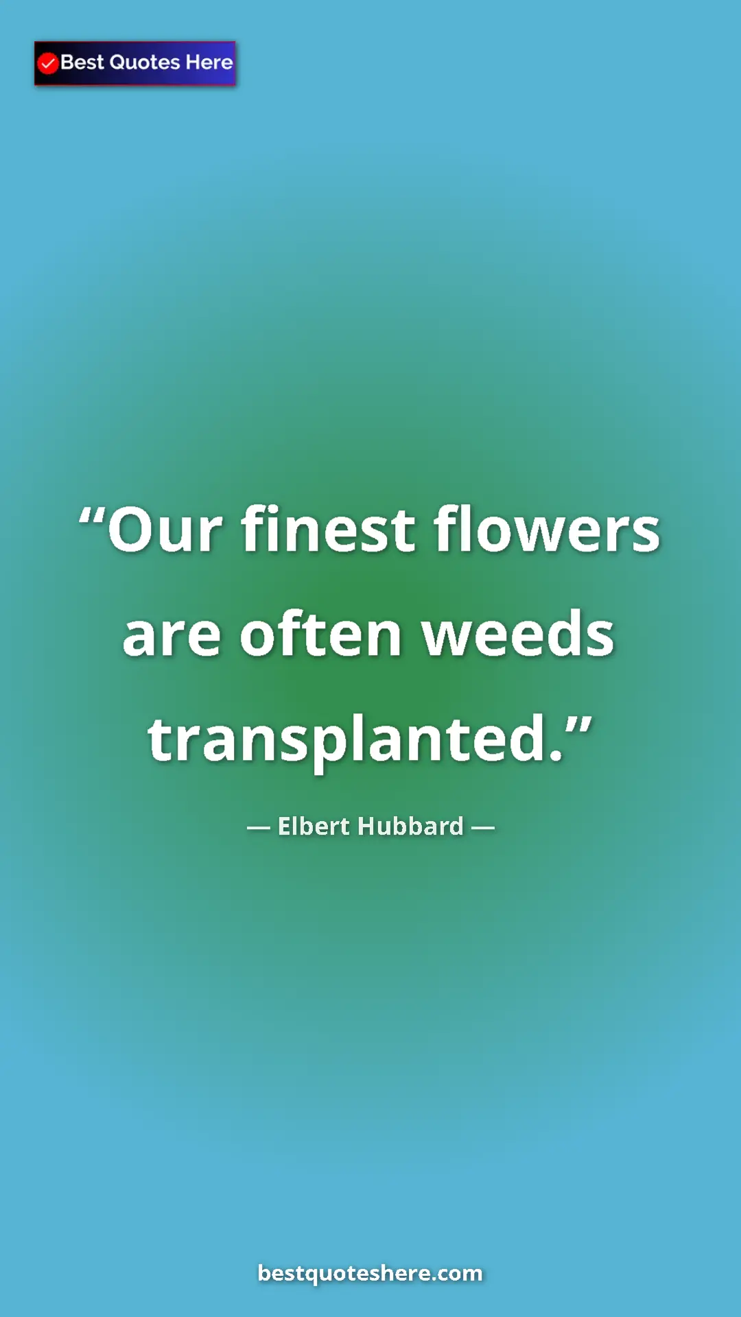 Pinterest quote poster by Elbert Hubbard: "Our finest flowers are often weeds transplanted."