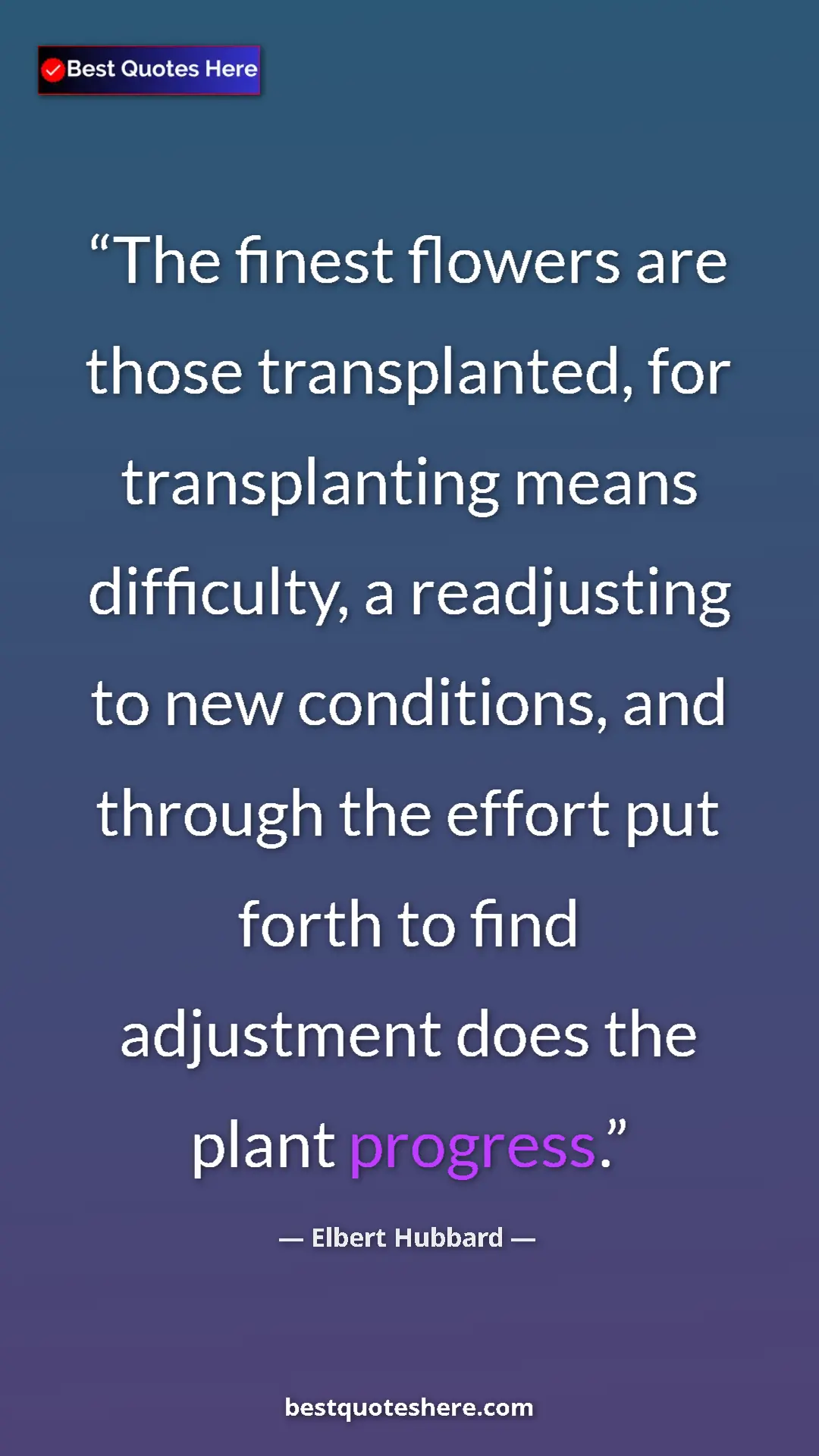 Pinterest quote poster by Elbert Hubbard: "The finest flowers are those transplanted, for..."