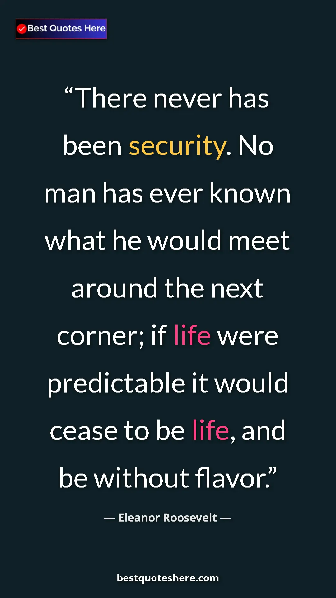 Pinterest quote poster by Eleanor Roosevelt: "There never has been security. No man has ever known what..."