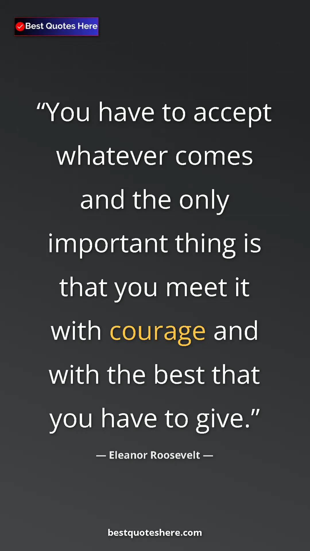 Pinterest quote poster by Eleanor Roosevelt: "You have to accept whatever comes and the only important..."