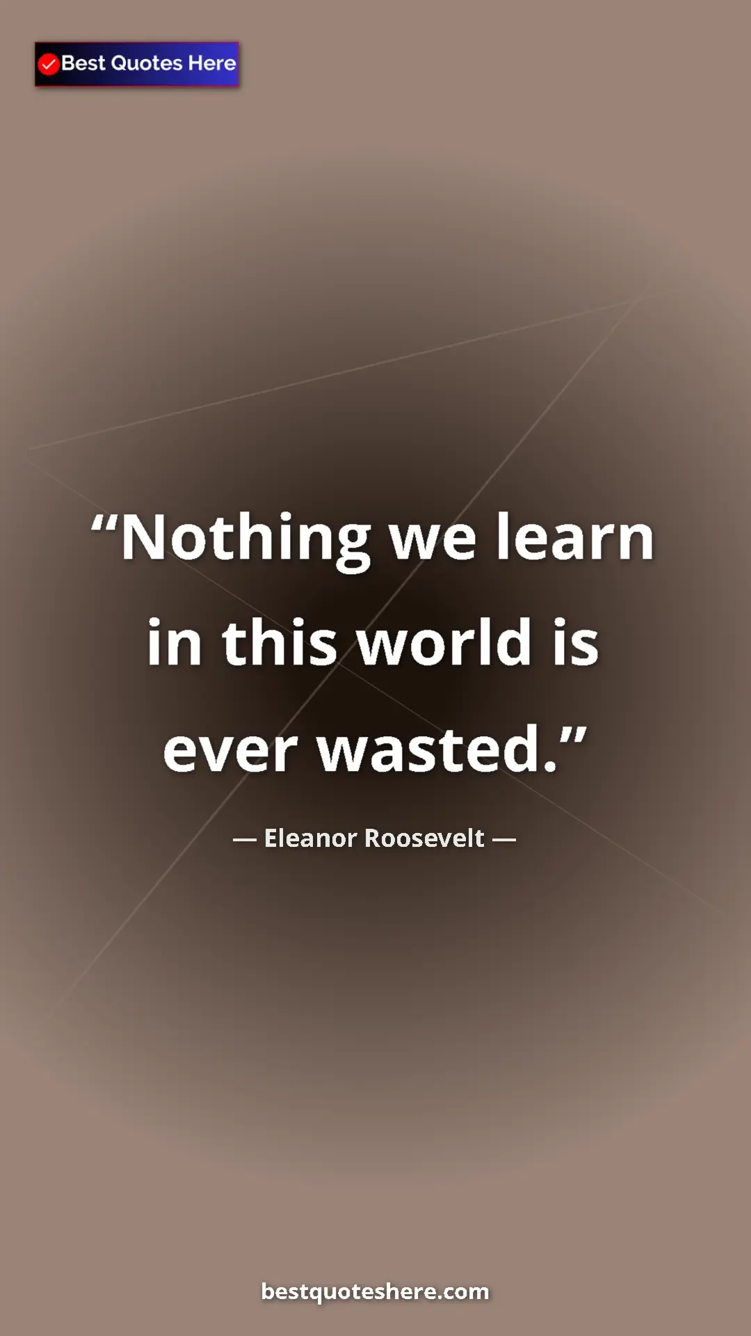 Pinterest quote poster by Eleanor Roosevelt: "Nothing we learn in this world is ever wasted."