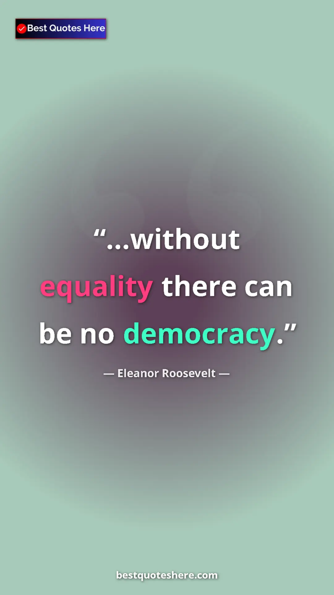 Pinterest quote poster by Eleanor Roosevelt: "...without equality there can be no democracy."
