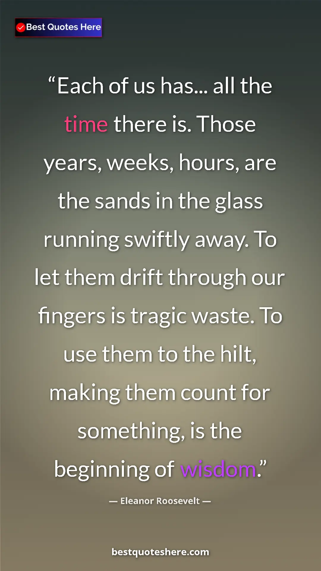 Pinterest quote poster by Eleanor Roosevelt: "Each of us has... all the time there is. Those years,..."