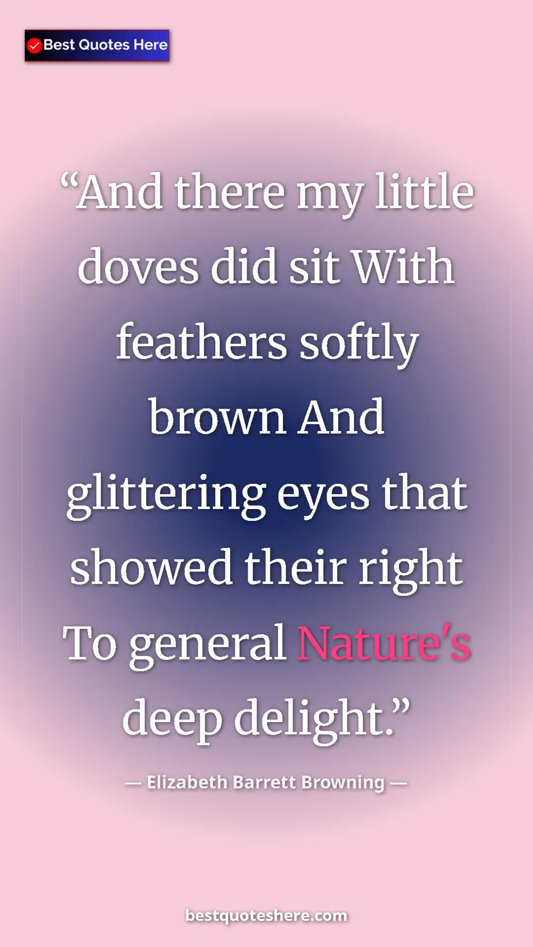 Pinterest quote poster by Elizabeth Barrett Browning: "And there my little doves did sit With feathers softly..."