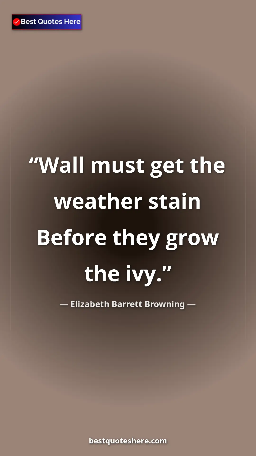 Pinterest quote poster by Elizabeth Barrett Browning: "Wall must get the weather stain Before they grow the ivy."
