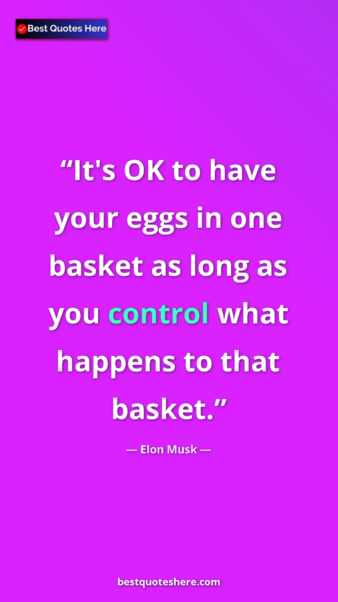Elon Musk Quote Card: "It's OK to have your eggs in one basket as long as you..." Pinterest quote poster by Elon Musk: "It's OK to have your eggs in one basket as long as you..."