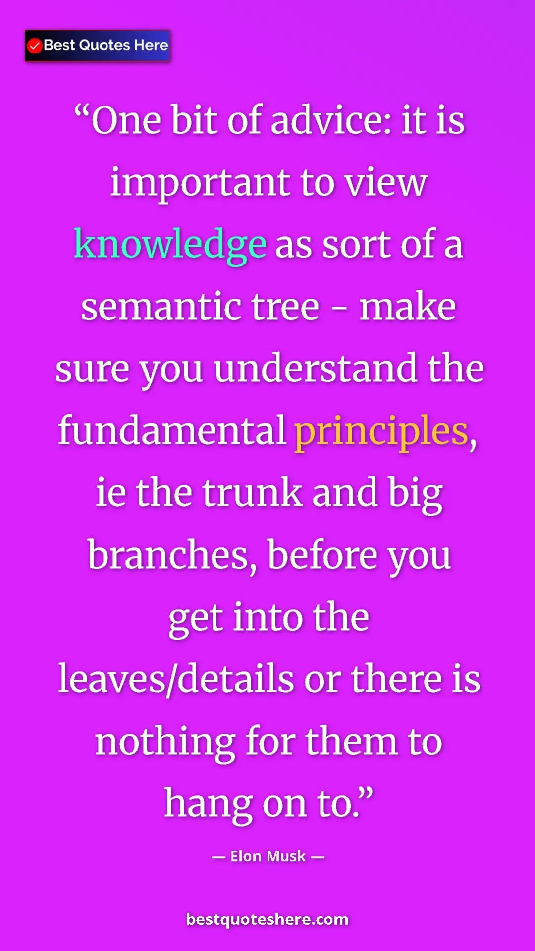 Elon Musk Quote Card: "One bit of advice: it is important to view knowledge as..." Pinterest quote poster by Elon Musk: "One bit of advice: it is important to view knowledge as..."