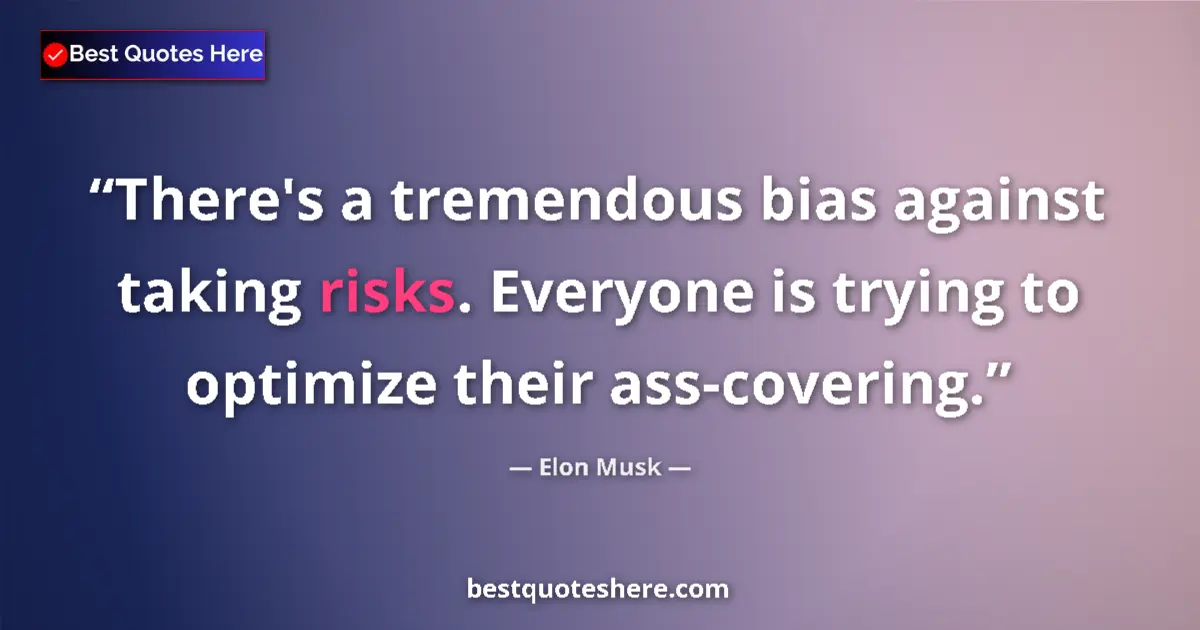 Quote by Elon Musk: There's a tremendous bias against taking risks. Ev