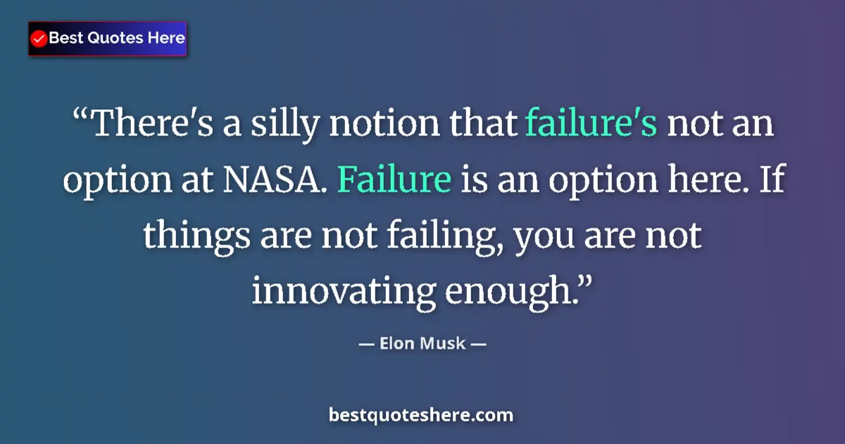 Elon Musk quote: "There's a silly notion that failure's not an option at..."