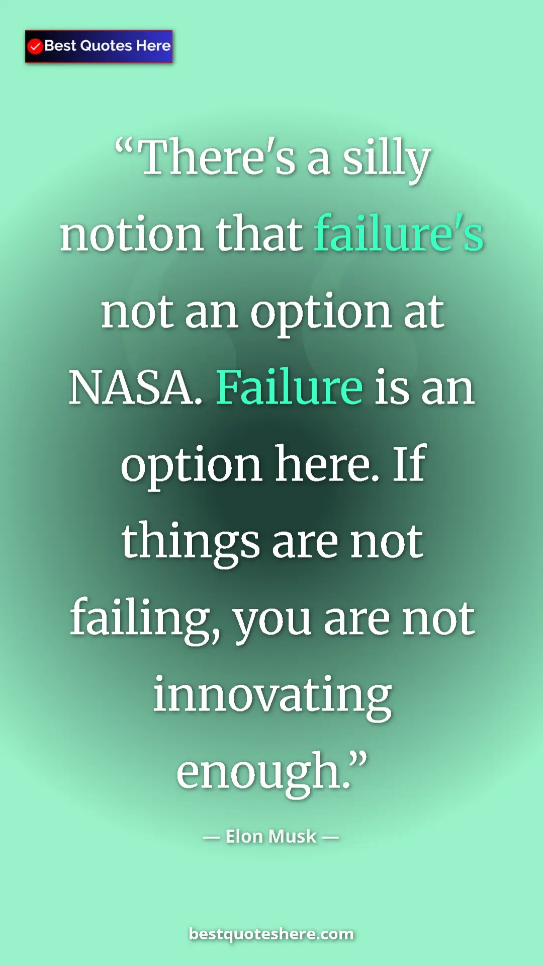 Pinterest quote poster by Elon Musk: "There's a silly notion that failure's not an option at..."