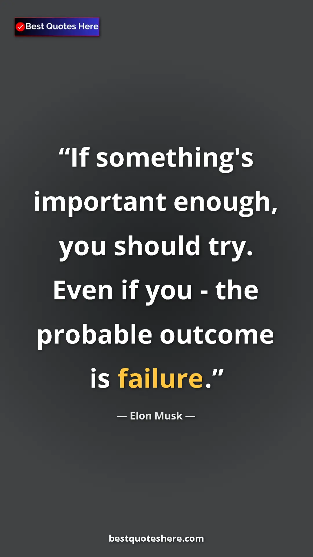 Pinterest quote poster by Elon Musk: "If something's important enough, you should try. Even if..."