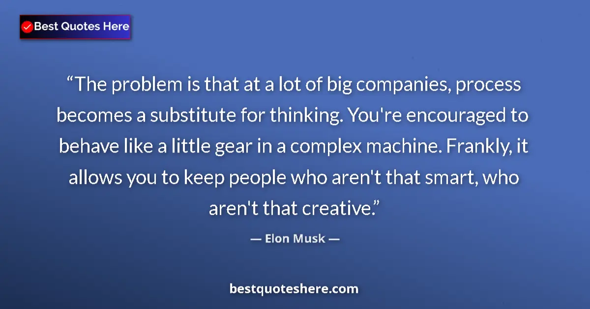 Quote by Elon Musk: The problem is that at a lot of big companies, process becomes a substitute for thinking. You're enc...