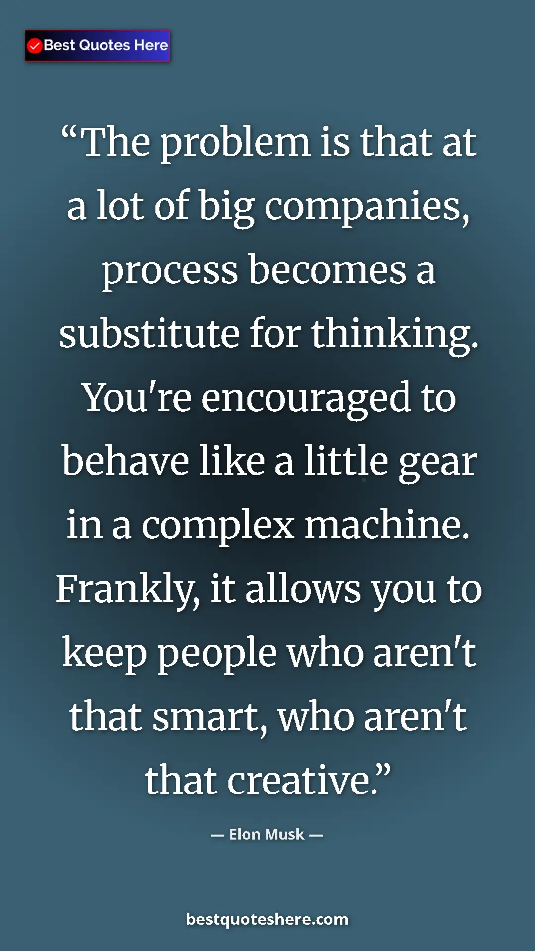 Pinterest quote poster by Elon Musk: "The problem is that at a lot of big companies, process..."