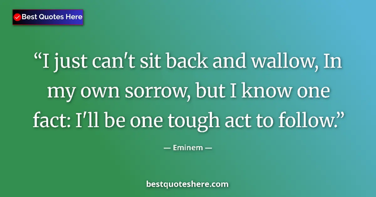 Eminem quote: "I just can't sit back and wallow, In my own sorrow, but I..."