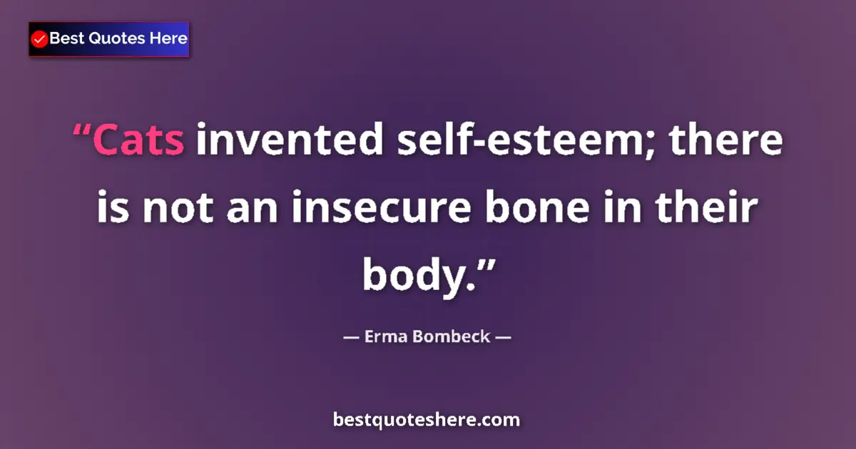 Quote by Erma Bombeck: Cats invented self-esteem; there is not an insecure bone in their body....