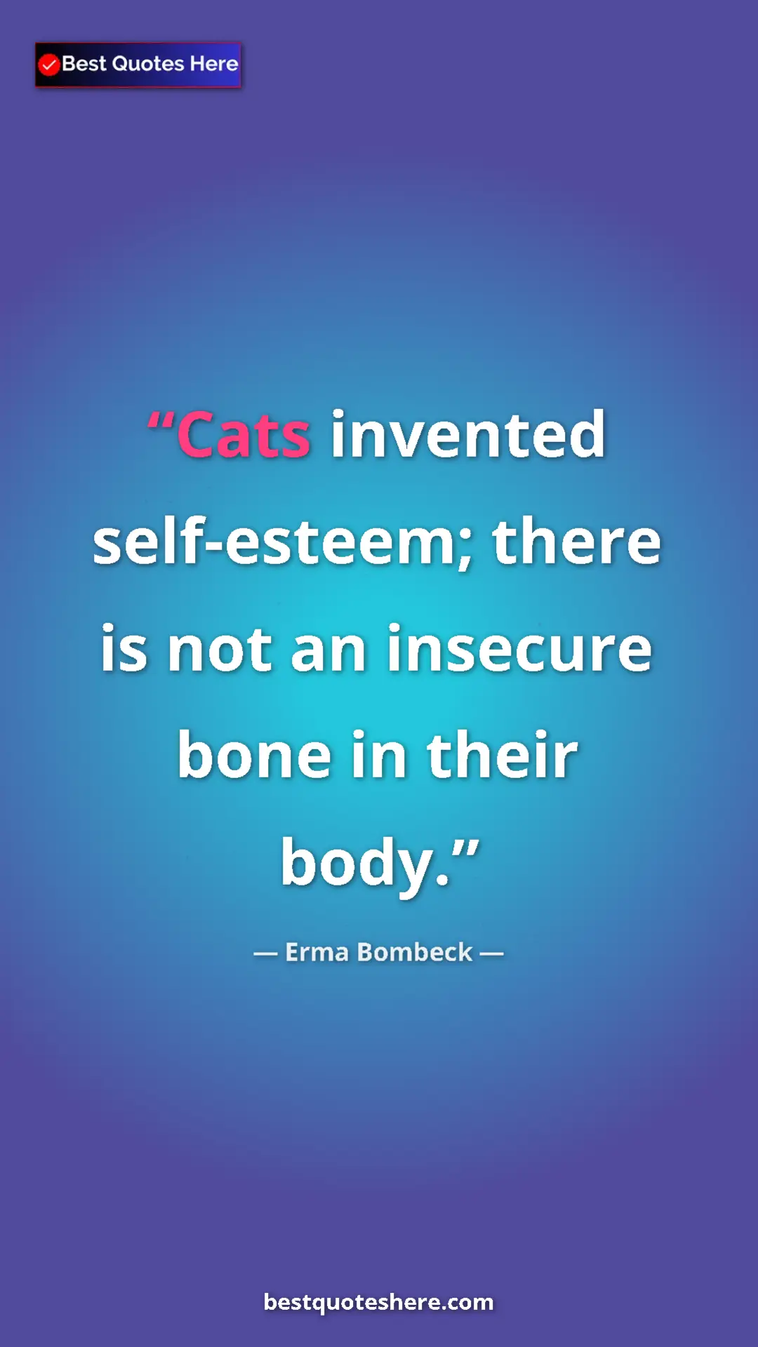 Erma Bombeck Quote Card: "Cats invented self-esteem; there is not an insecure bone in..." Pinterest quote poster by Erma Bombeck: "Cats invented self-esteem; there is not an insecure bone in..."