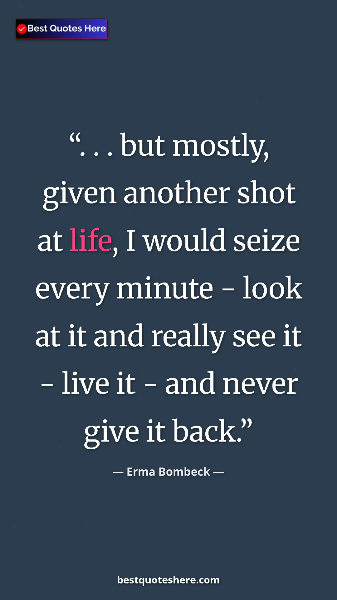 Pinterest quote poster by Erma Bombeck: ". . . but mostly, given another shot at life, I would seize..."