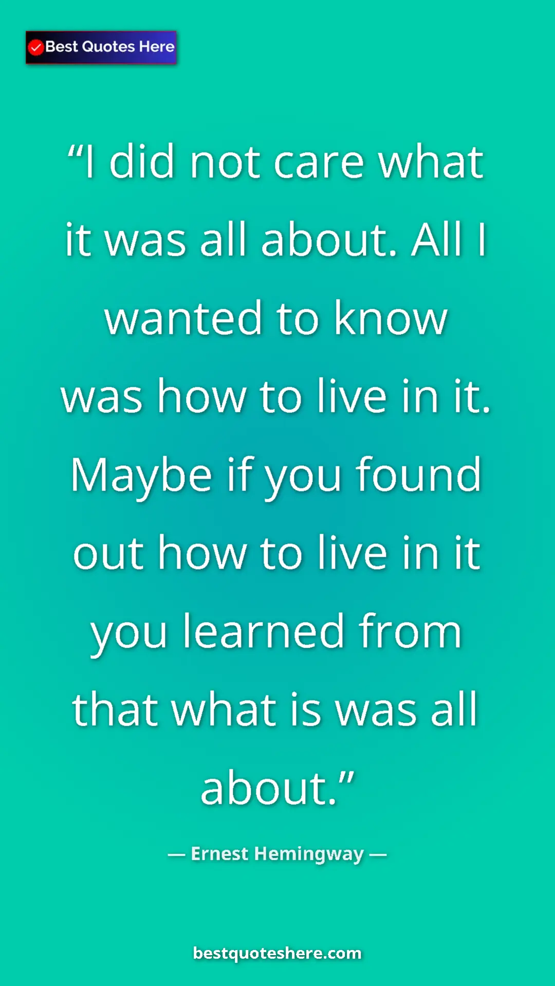 Pinterest quote poster by Ernest Hemingway: "I did not care what it was all about. All I wanted to know..."