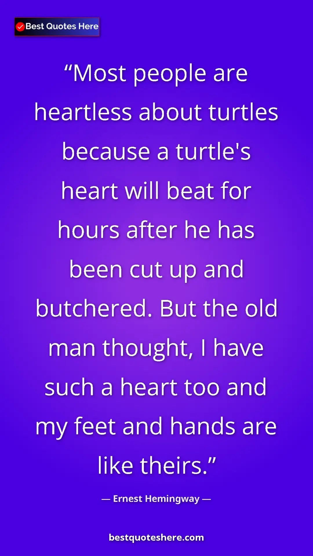 Ernest Hemingway Quote Card: "Most people are heartless about turtles because a turtle's..." Pinterest quote poster by Ernest Hemingway: "Most people are heartless about turtles because a turtle's..."
