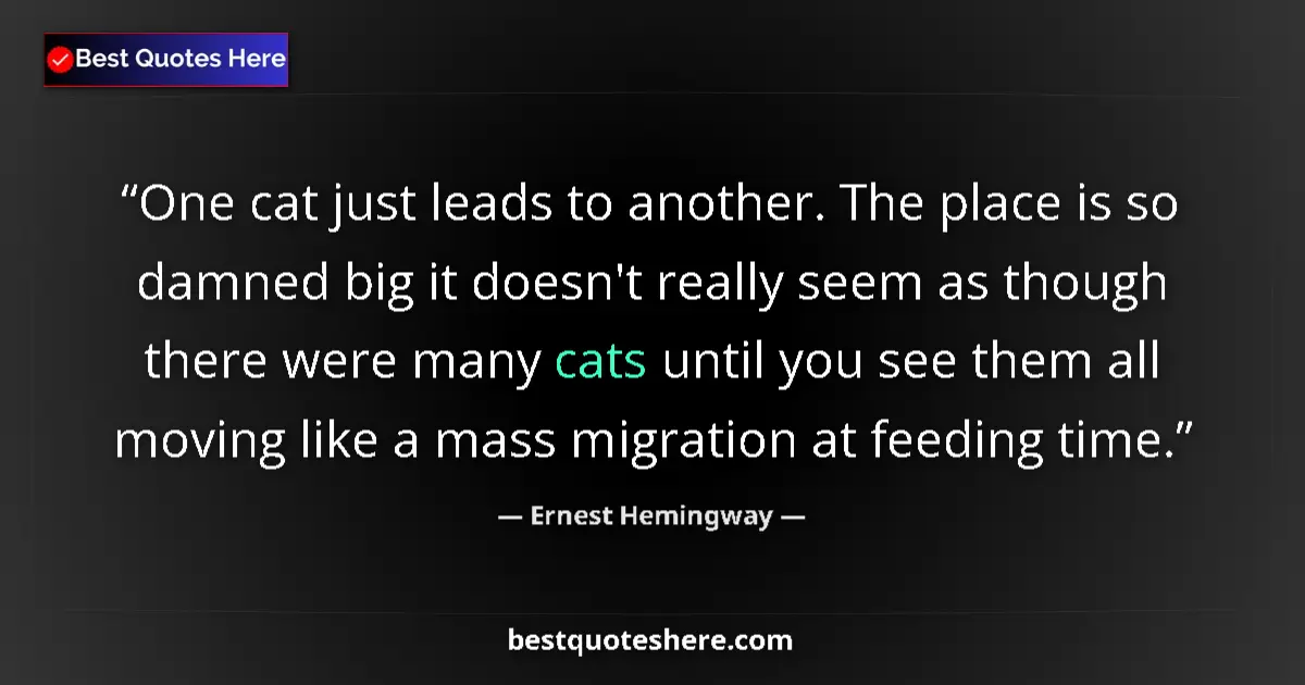 Image for the quote by Ernest Hemingway: One cat just leads to another. The place is so damned big it doesn't really seem as though there wer...
