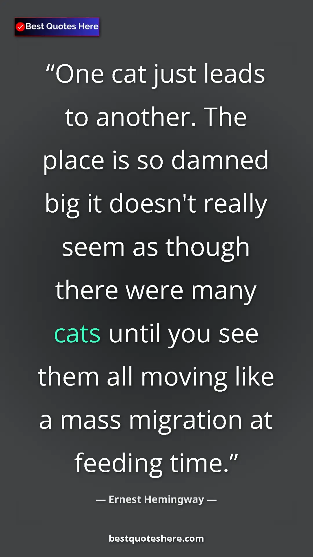Ernest Hemingway Quote Card: "One cat just leads to another. The place is so damned big..." Pinterest quote poster by Ernest Hemingway: "One cat just leads to another. The place is so damned big..."