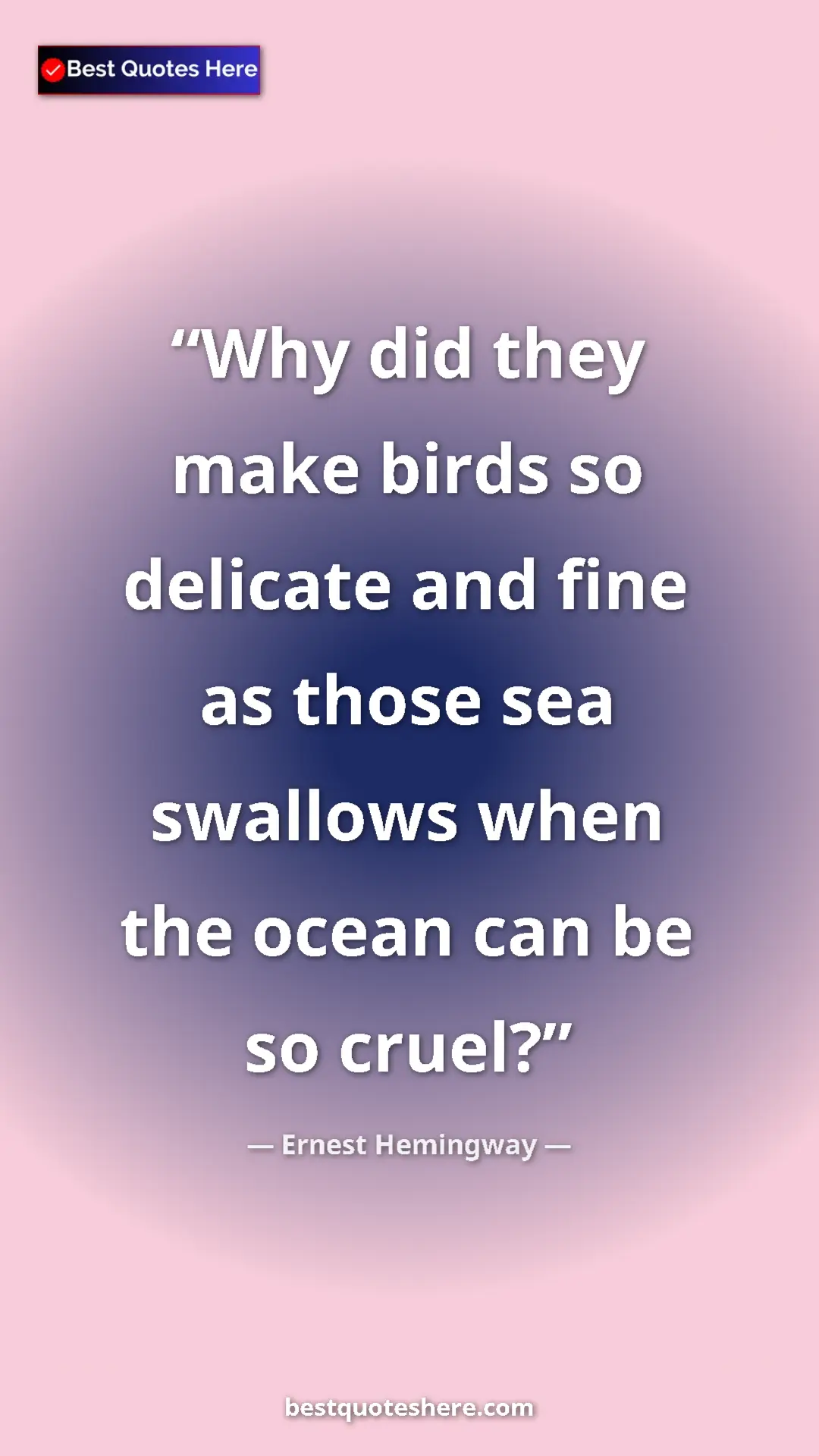 Pinterest quote poster by Ernest Hemingway: "Why did they make birds so delicate and fine as those sea..."