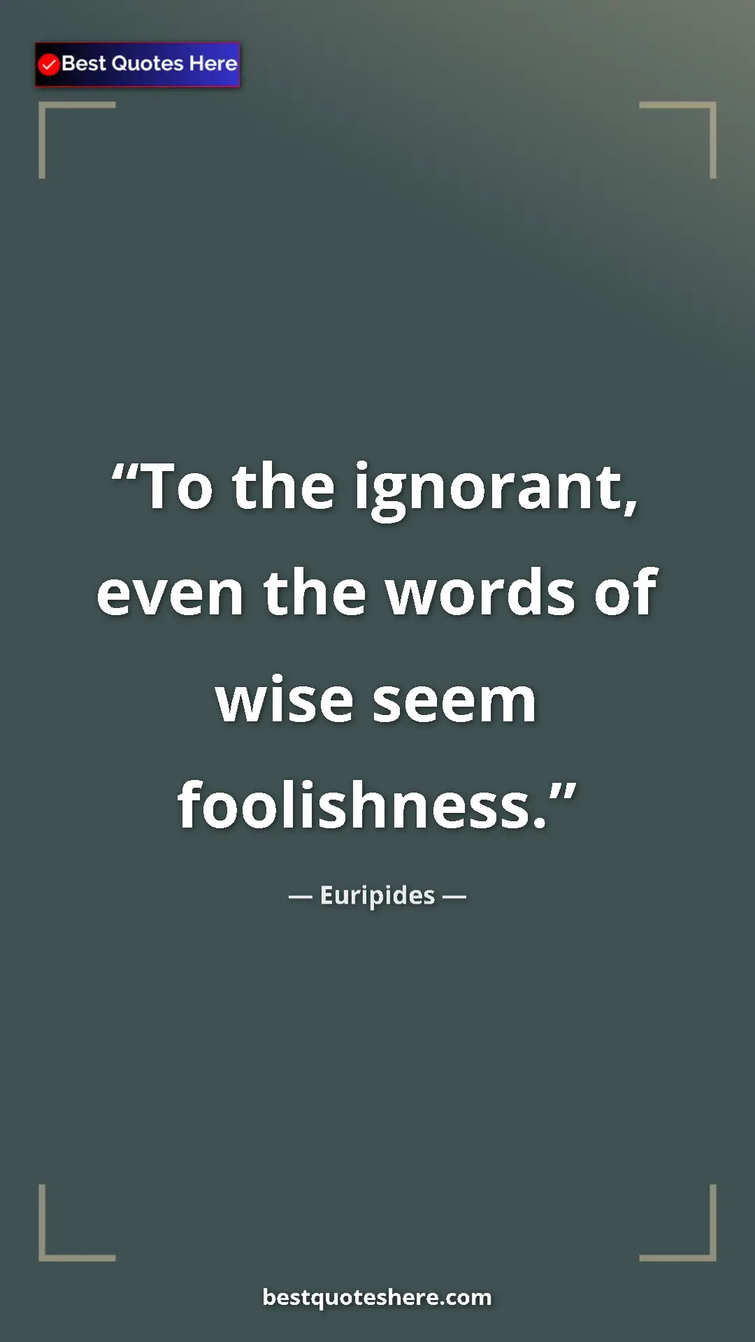 Pinterest quote poster by Euripides: "To the ignorant, even the words of wise seem foolishness."