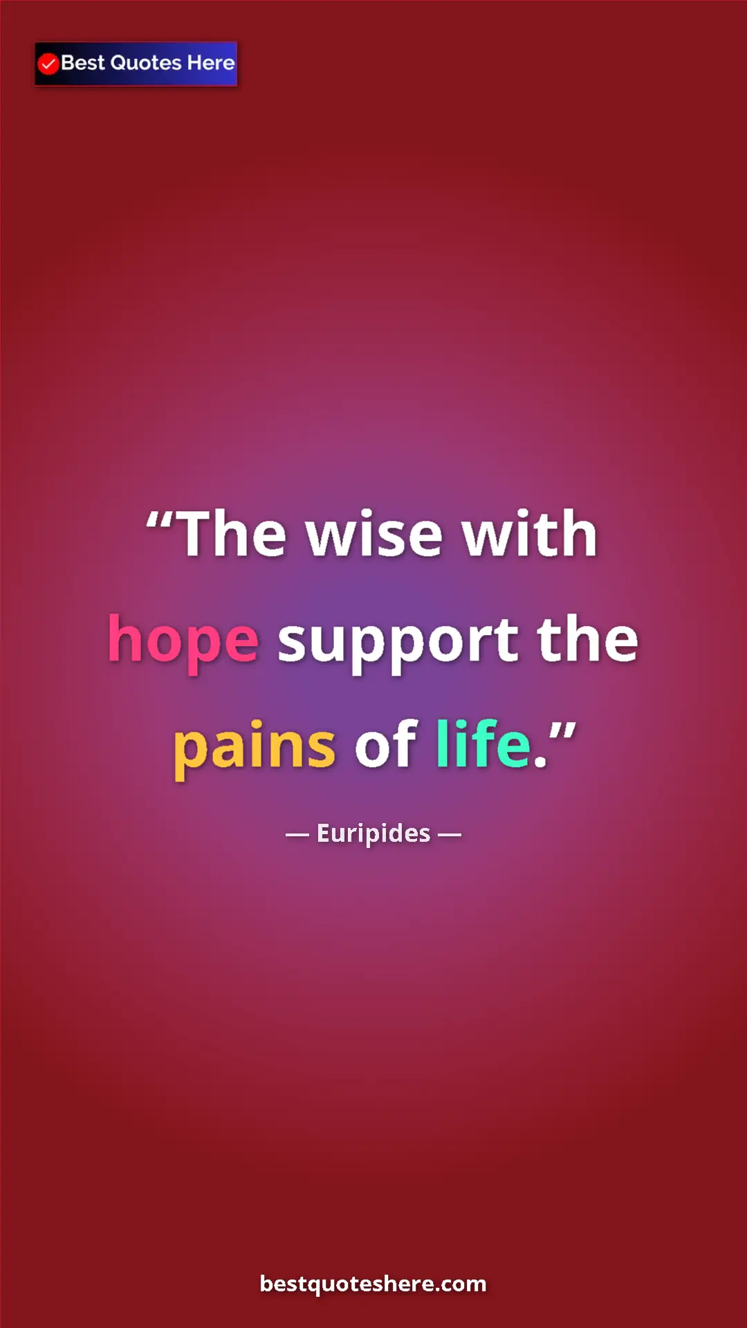 Pinterest quote poster by Euripides: "The wise with hope support the pains of life."