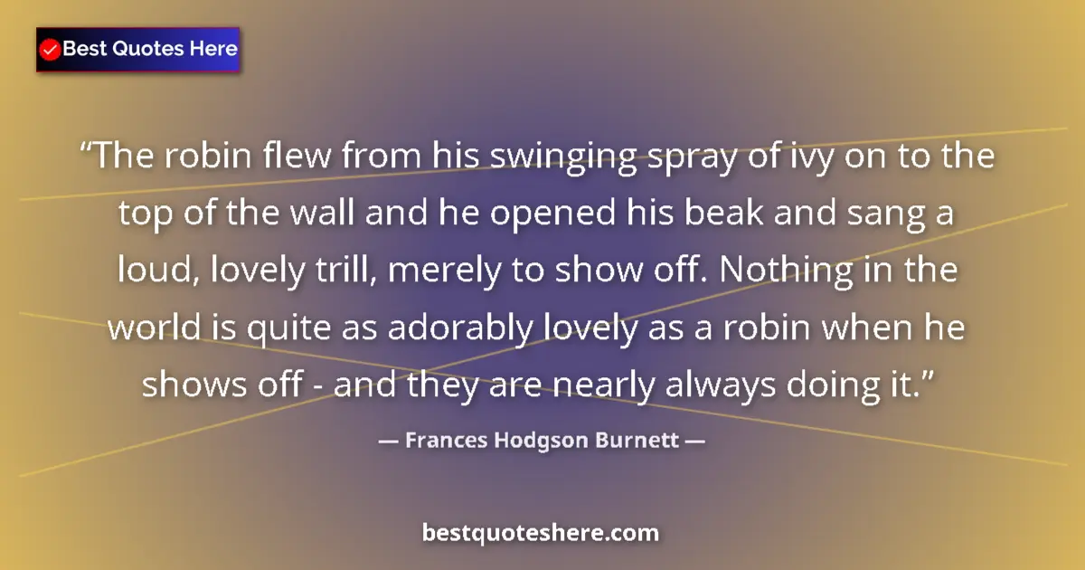 Quote by Frances Hodgson Burnett: The robin flew from his swinging spray of ivy on to the top of the wall and he opened his beak and s...
