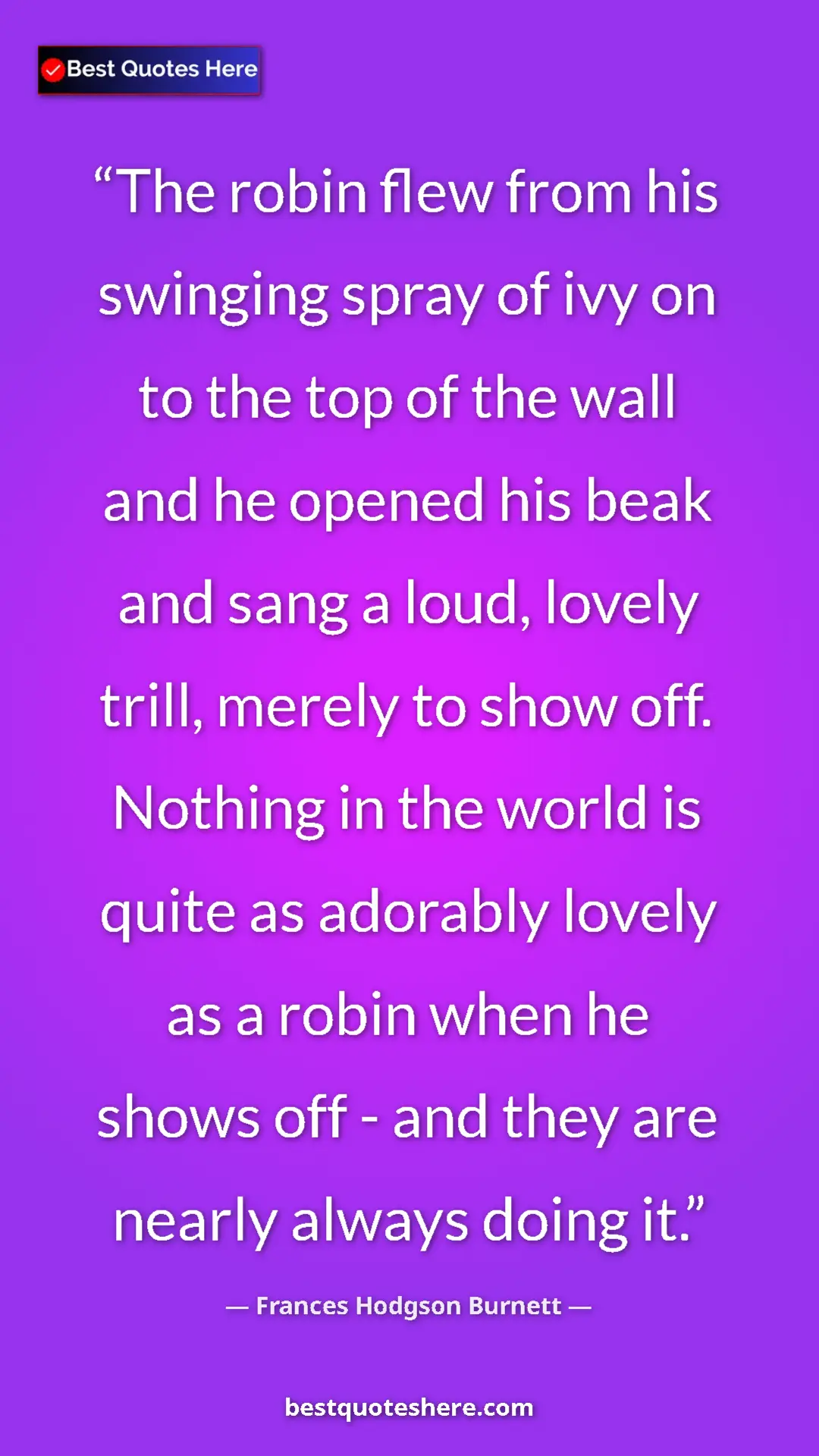 Frances Hodgson Burnett Quote Card: "The robin flew from his swinging spray of ivy on to the top..." Pinterest quote poster by Frances Hodgson Burnett: "The robin flew from his swinging spray of ivy on to the top..."