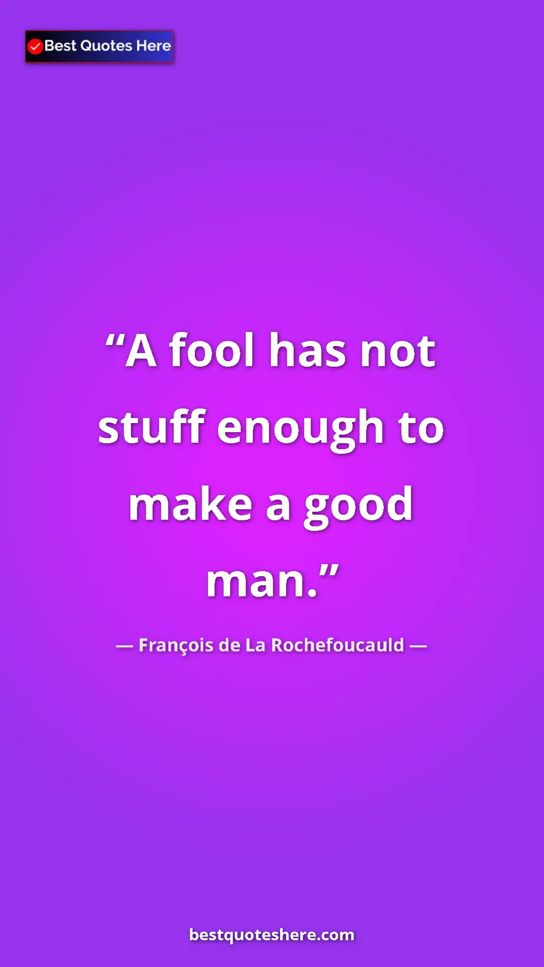 Pinterest quote poster by François de La Rochefoucauld: "A fool has not stuff enough to make a good man."