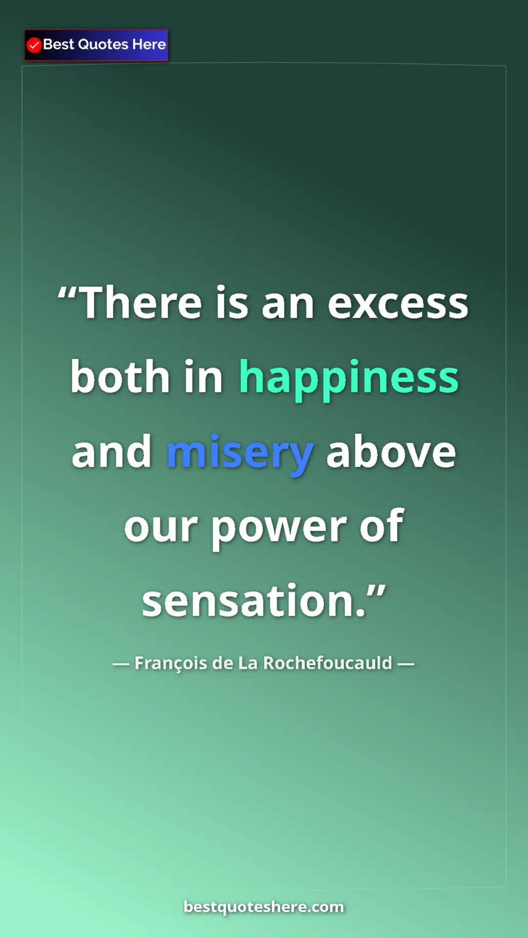 Pinterest quote poster by François de La Rochefoucauld: "There is an excess both in happiness and misery above our..."