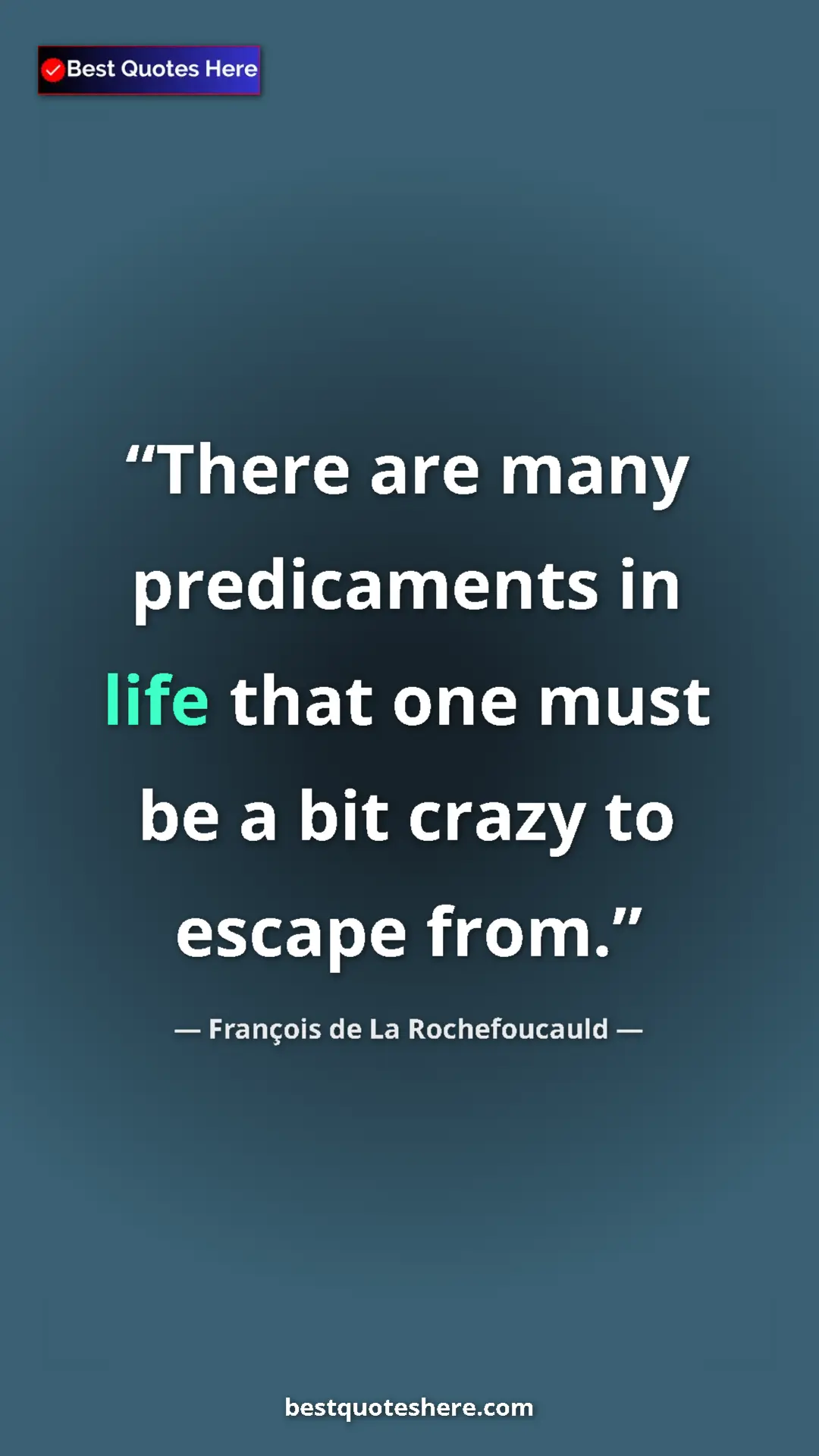 Pinterest quote poster by François de La Rochefoucauld: "There are many predicaments in life that one must be a bit..."
