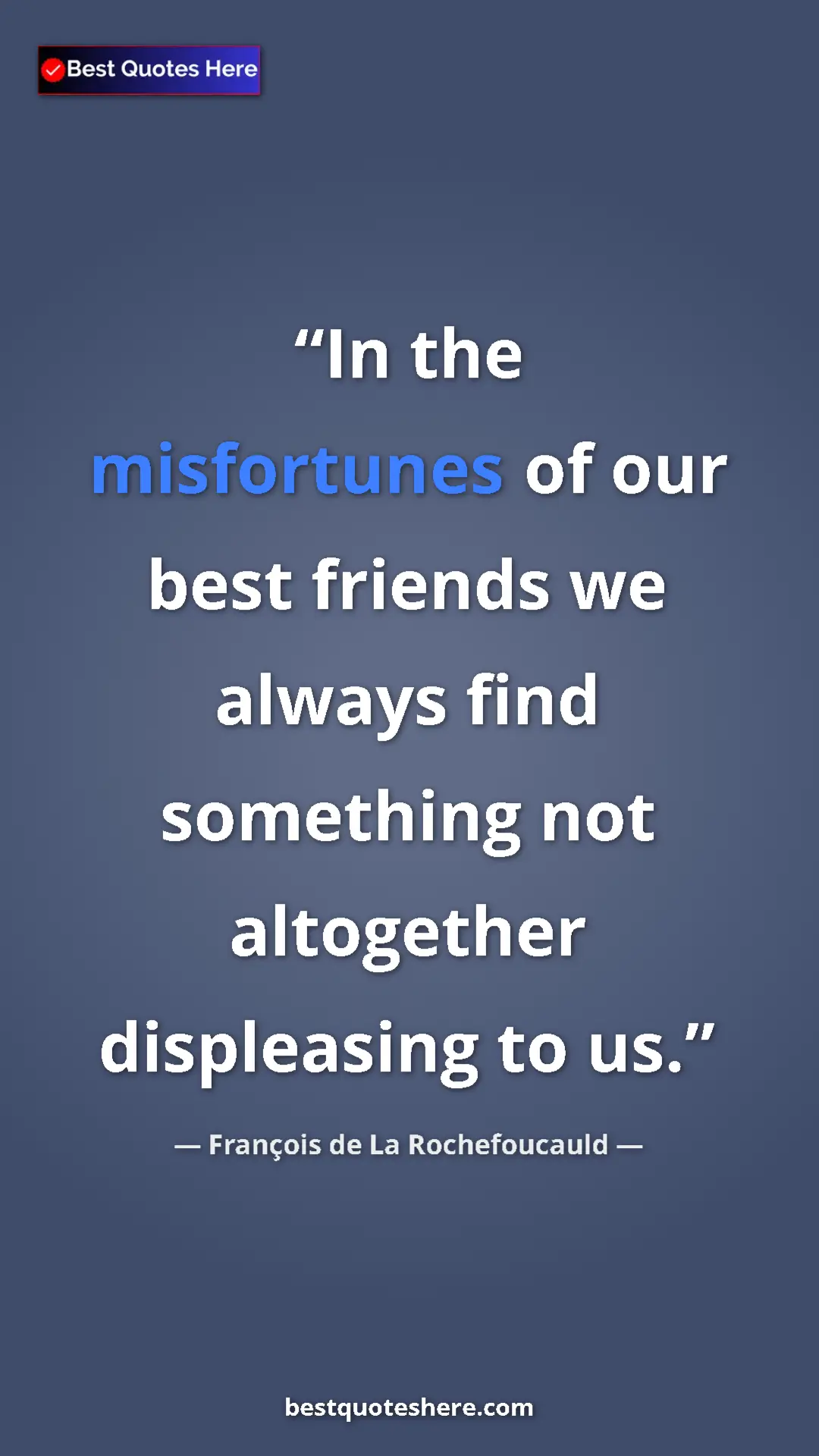 Pinterest quote poster by François de La Rochefoucauld: "In the misfortunes of our best friends we always find..."